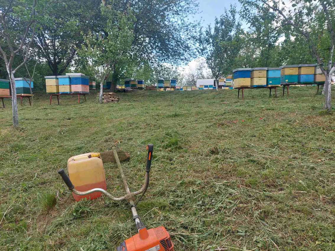 Пчелињак